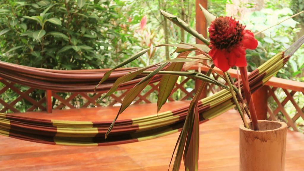 Casa Moabi Bed & Breakfast Коклес Екстериор снимка